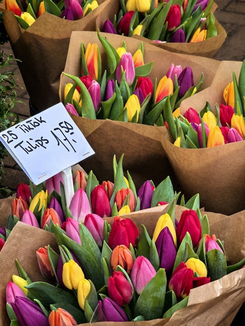 A collection of tulip bouquets wrapped in brown kraft paper, featuring vibrant red, yellow, pink, purple, and orange tulips with fresh green stems and leaves. Each bouquet is arranged neatly, showcasi
