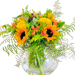 On a pristine white backdrop, this exuberant bouquet from Harrow is a vivid tapestry of summer and autumn brightness, channeling the lively energy of North West London's leafy streets. Dominating the arrangement, luminous sunflowers unfurl generous golden petals, their chocolate-hued centers adding bold contrast and cheerful strength. These are flanked by plush, spiraling yellow roses-petals layered like warm sunlight, softly perfuming the air. Clusters of shiny red Hypericum berries add sparkling dots of festive colour, reminiscent of the fresh berry stalls at Harrow Farmers' Market. Underneath and around, a lush mixture of variegated greens-cascading ferns, light solidago, slender spikes, and silvery eucalyptus-bring texture and movement, much like the tumbling foliage along West Harrow's gardens. All are gathered purposefully into a round glass vase, its bowl-like clarity revealing water-beaded stems and echoing the freshness of a crisp, well-tended bouquet. Gentle natural light enhances the scene, drawing out subtle differences in foliage and flower textures: the suede softness of sunflower petals, the firm curl of rosebuds, and the airy trailing greens. Designed for both emotional resonance and visual delight by Harrow Florist, this bouquet makes the perfect gift for birthdays, anniversaries, or to spark happiness on an ordinary day. It carries the spirit of celebration and natural harmony-inviting any recipient to experience a taste of Harrow's joyous garden landscapes.